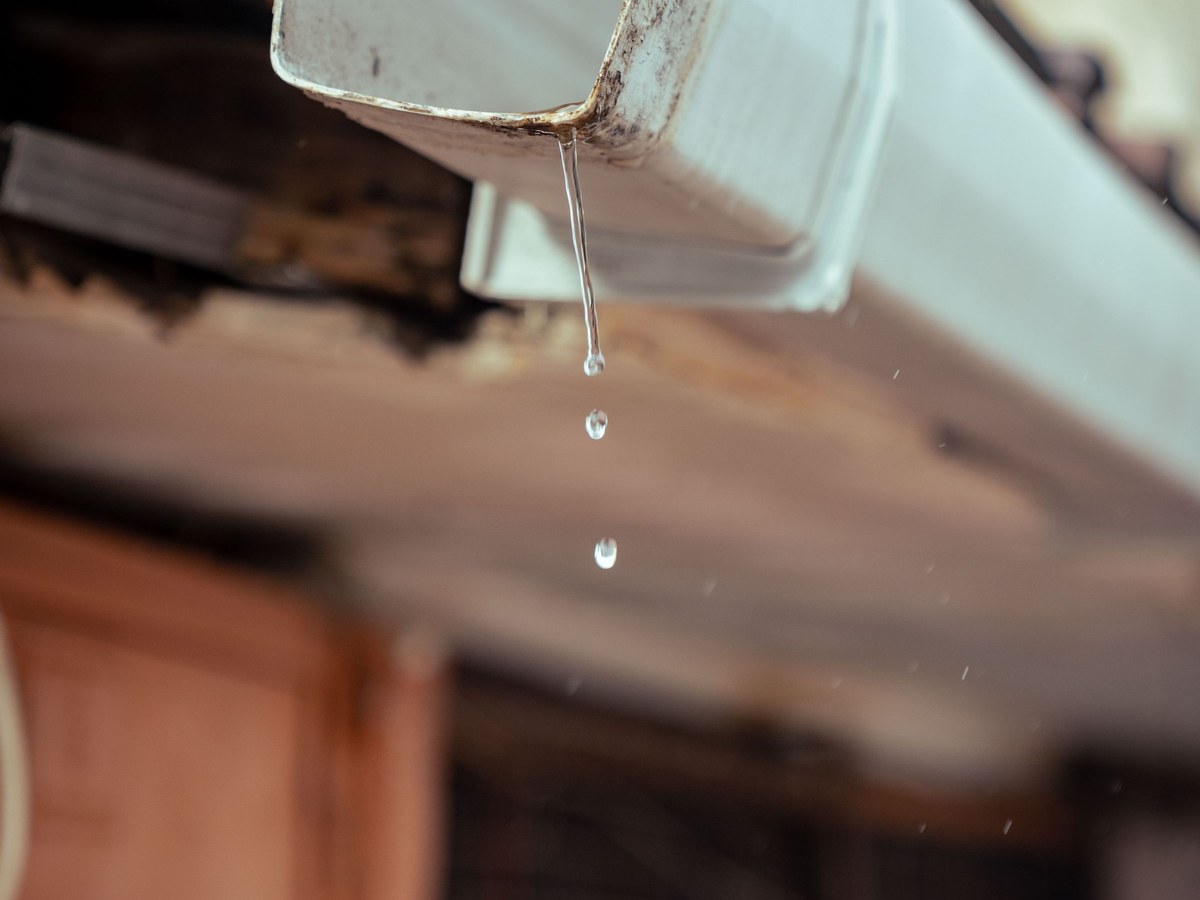 Rainwater running off the lip of a house gutter